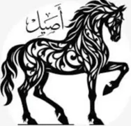 جمعية الاصيل لرعاية الايتام وذوي الاعاقة الخيرية